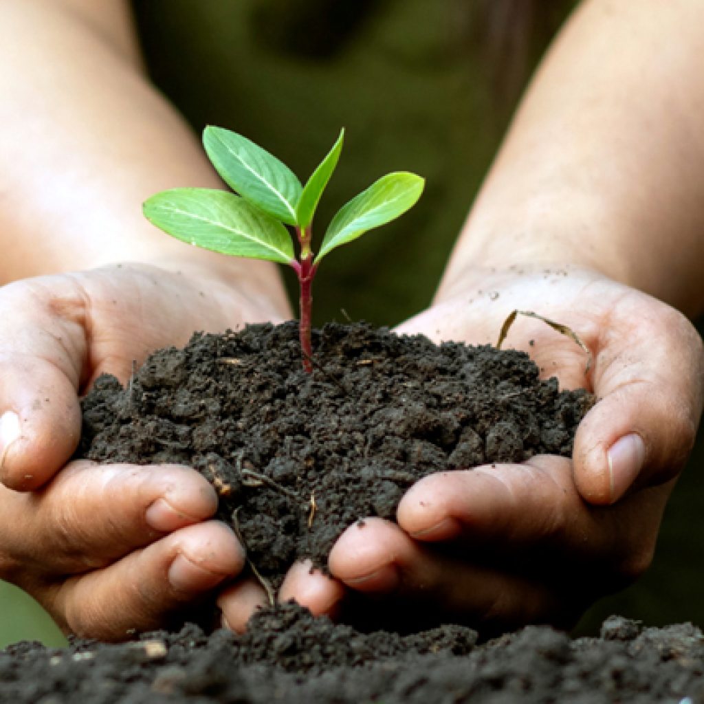 compra y venta de fierro y chatarra