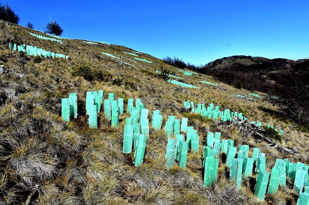 COMPRA Y VENTA DE MATERIAL FERROSO