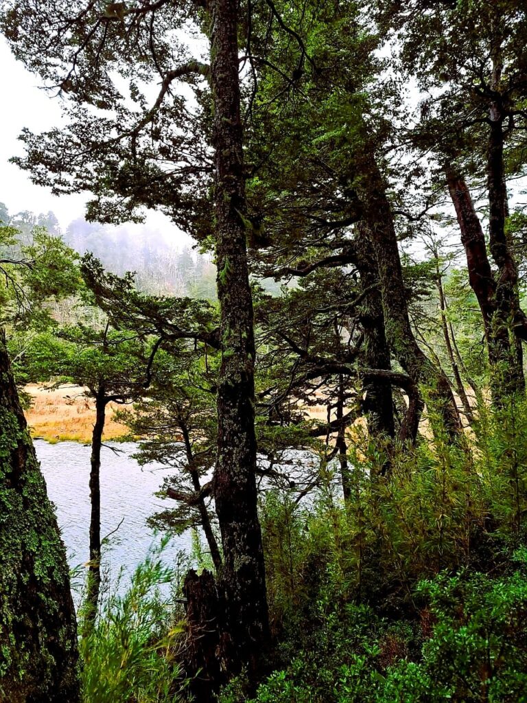 COMPRA Y VENTA MATERIAL FERROSO